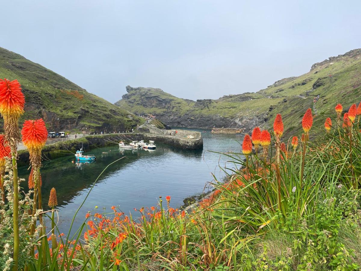 Harbour Light Apartment Boscastle Exterior photo