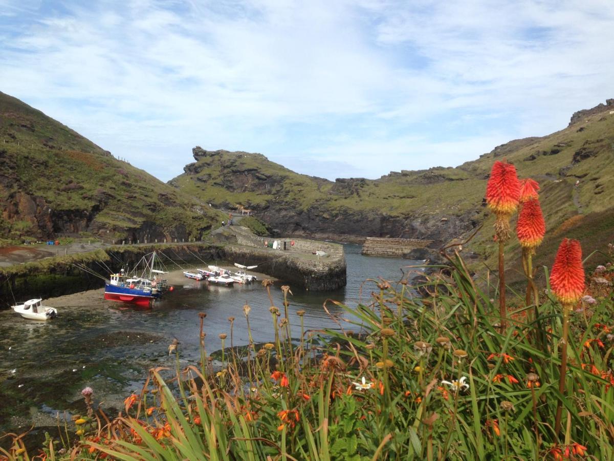 Harbour Light Apartment Boscastle Exterior photo